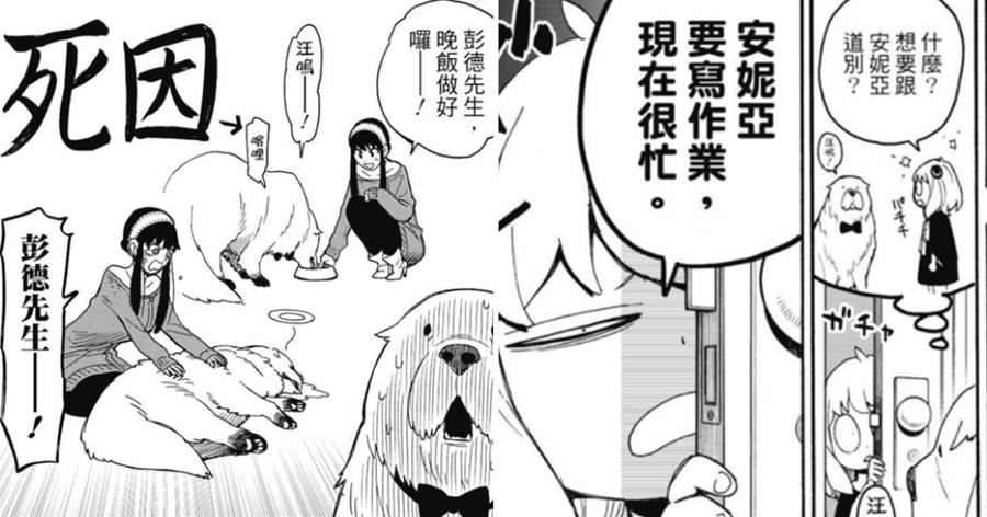 間諜過家家40：彭德逆天改命，成功躲過一劫活了下來！