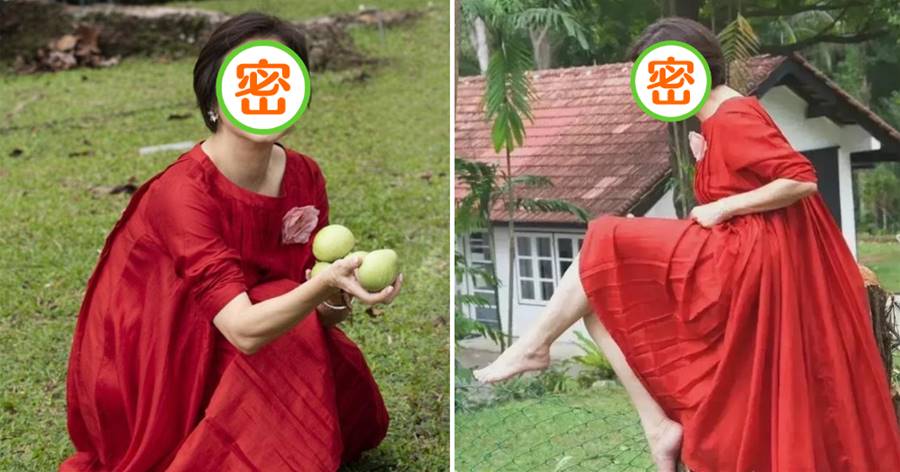 林青霞在自家果園摘果子！赤腳坐在樹樁上，68歲狀態像40歲，一身紅裙回到年輕時的東方不敗